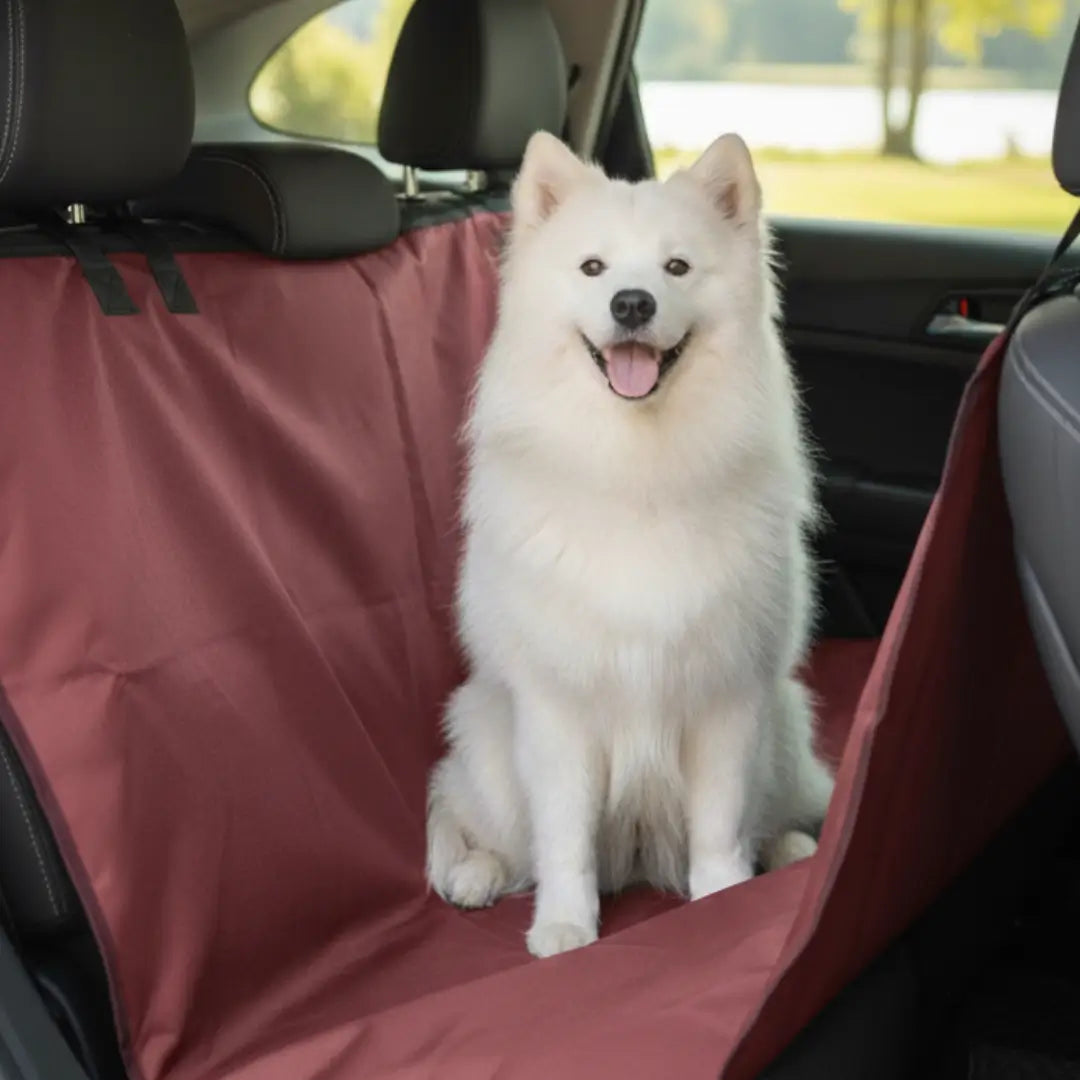 Protector de silla Carro-Camioneta