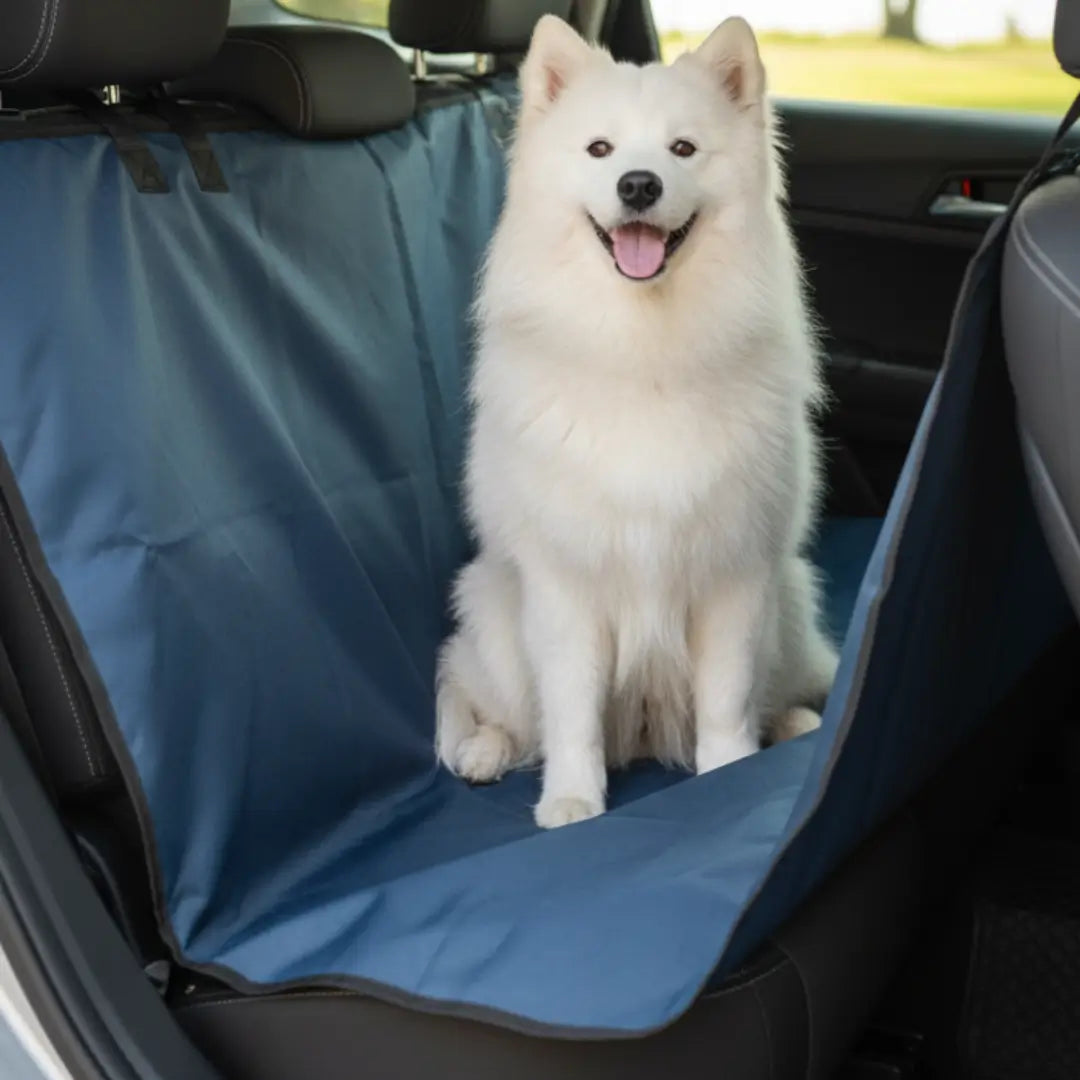 Protector de silla Carro-Camioneta