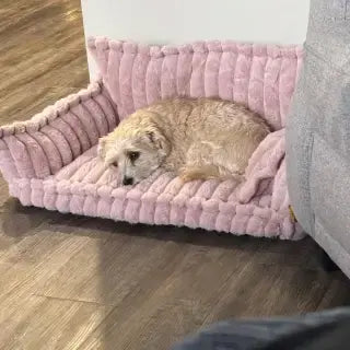 El descanso que tu mascota merece