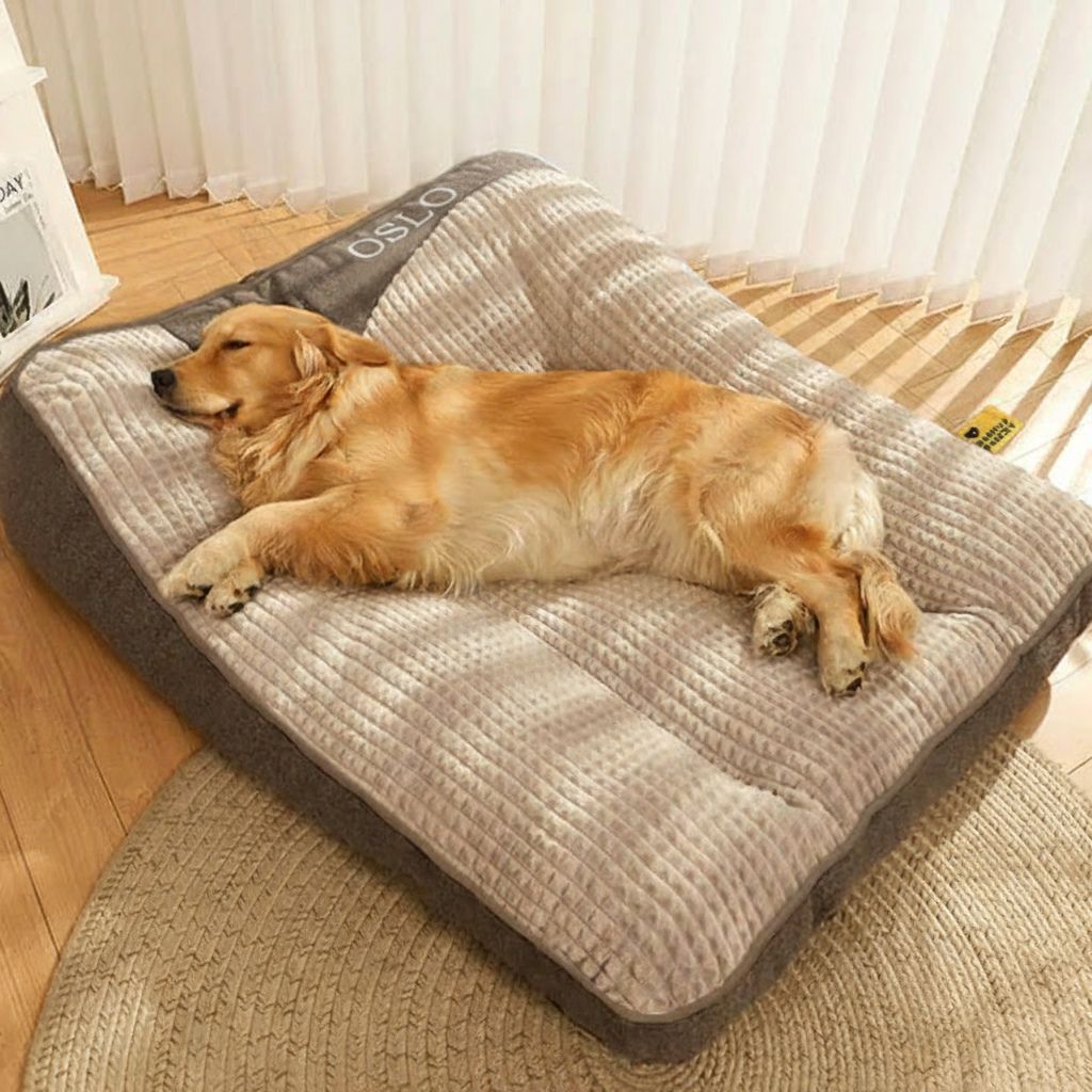 Una Cama tan única como tu mascota