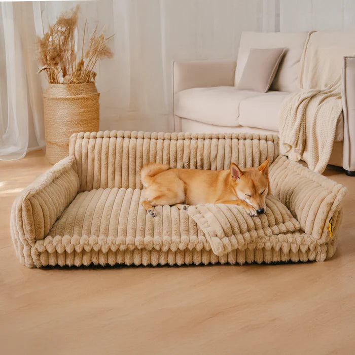 El descanso que tu peludo merece, con funda lavable y estilo