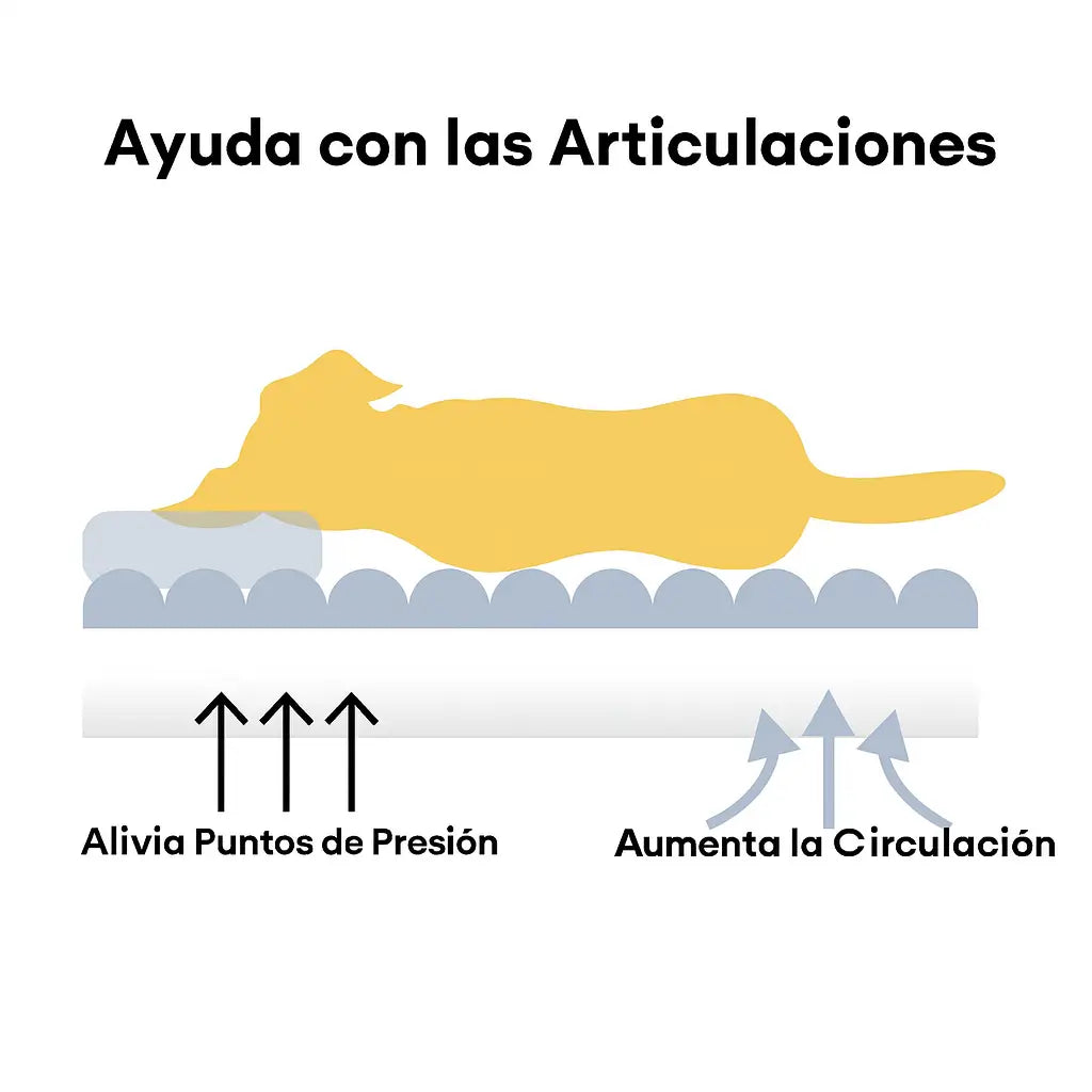 El descanso que tu peludo merece, con funda lavable y estilo