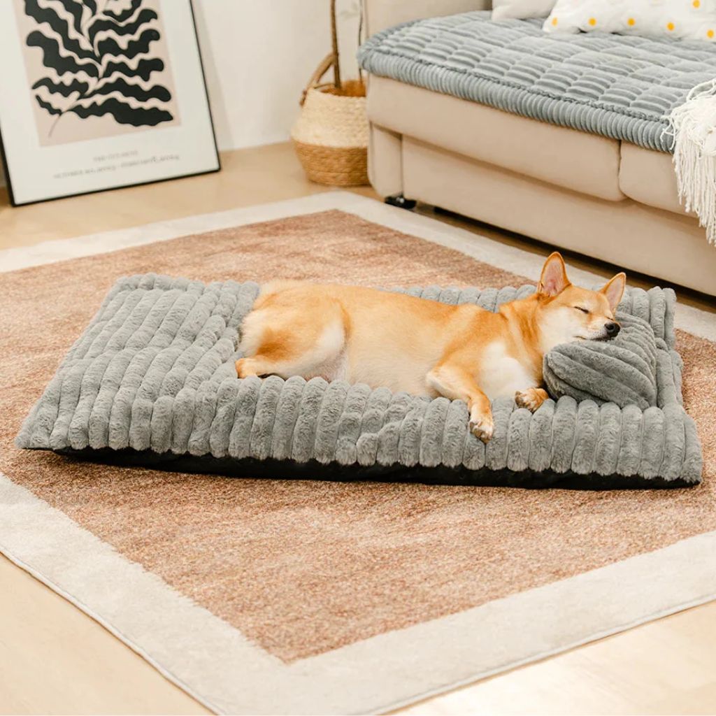 Colchón Relax Mascotas