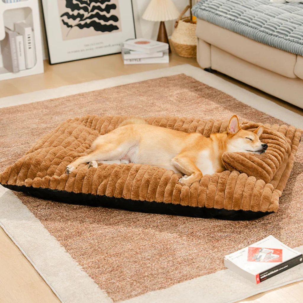 Colchón Relax Mascotas