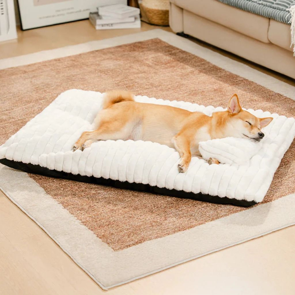 Colchón Relax Mascotas
