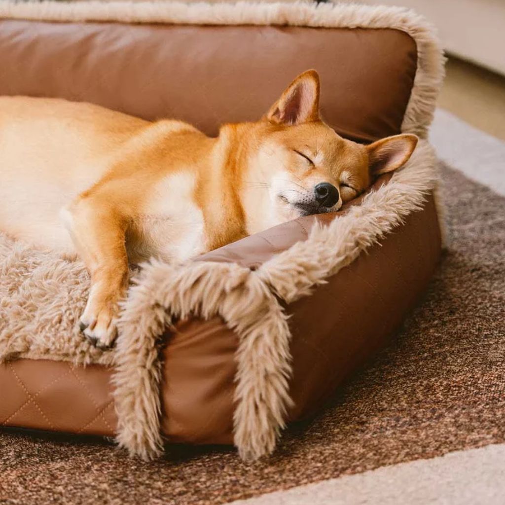 Sofá Imperial Edición Limitada 👑