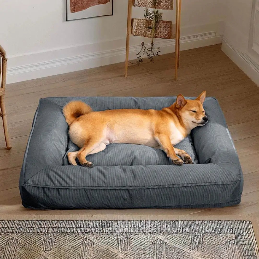 OrthoTrek™ – Colchoneta Ortopédica Premium para Perros