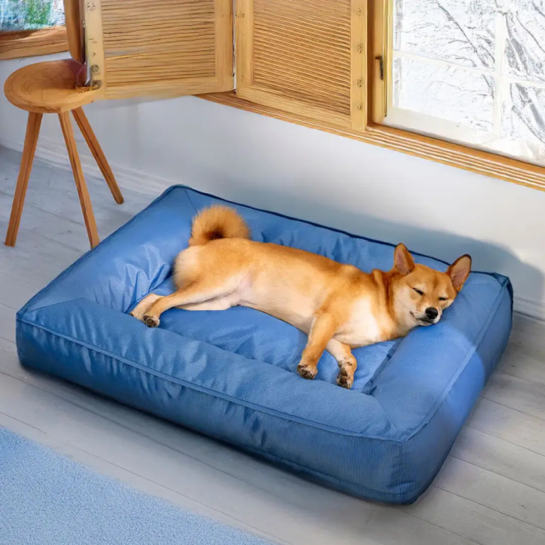 OrthoTrek™ – Colchoneta Ortopédica Premium para Perros