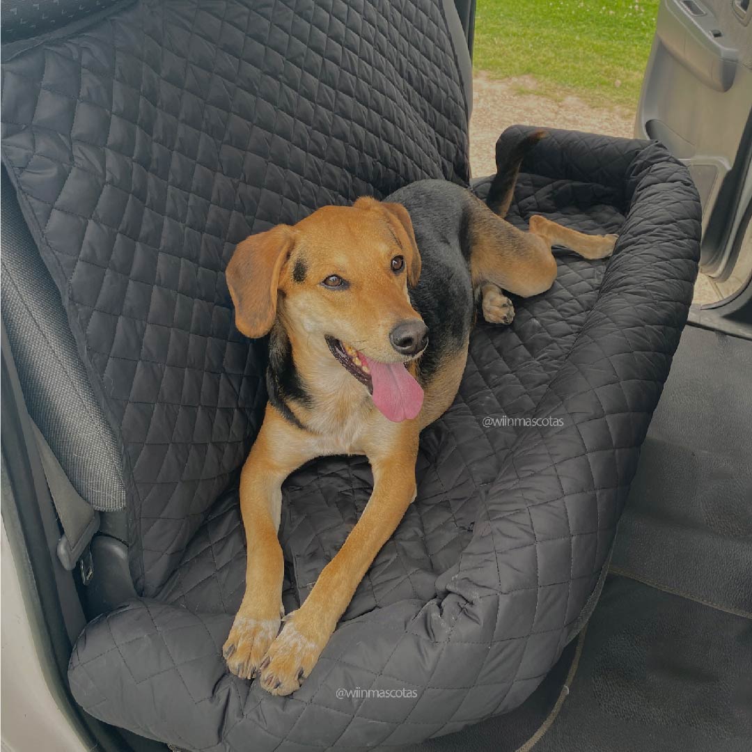 Protector para carros - Wiin Mascotas
