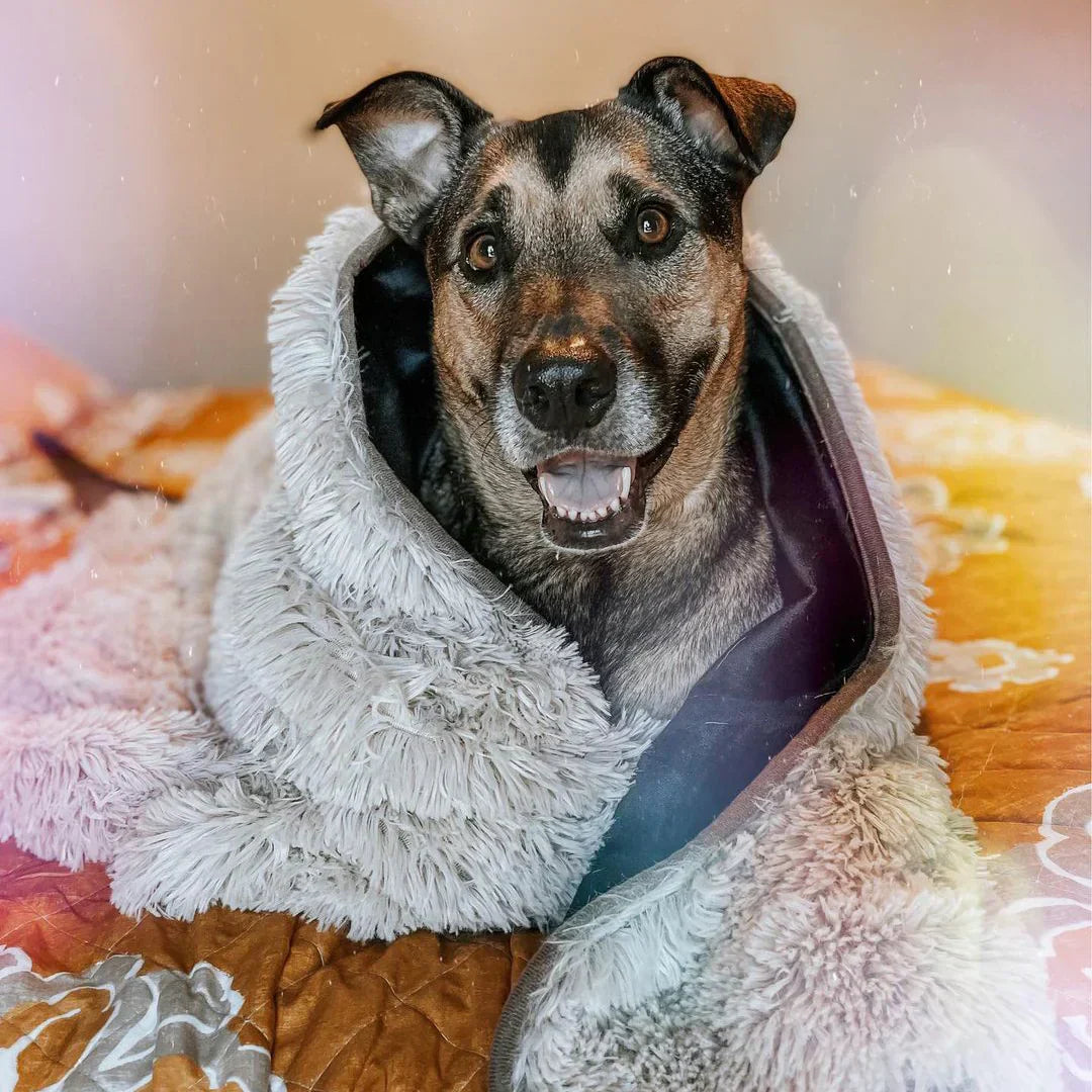 Manta gigante impermeable Pawproof